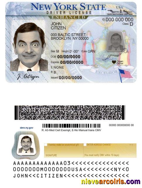 USA New York driving license